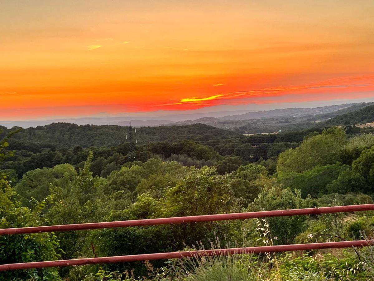 B&B Il Tramonto Barbarano Romano Bagian luar foto