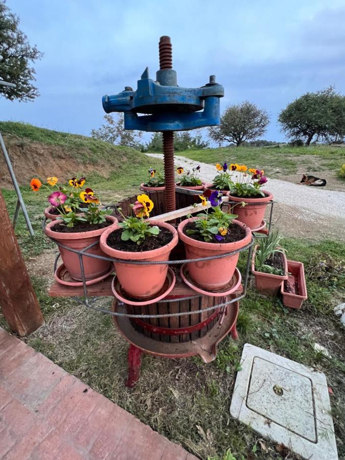 B&B Il Tramonto Barbarano Romano Bagian luar foto