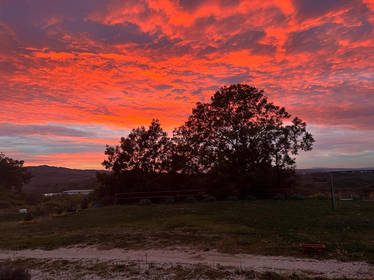 B&B Il Tramonto Barbarano Romano Bagian luar foto