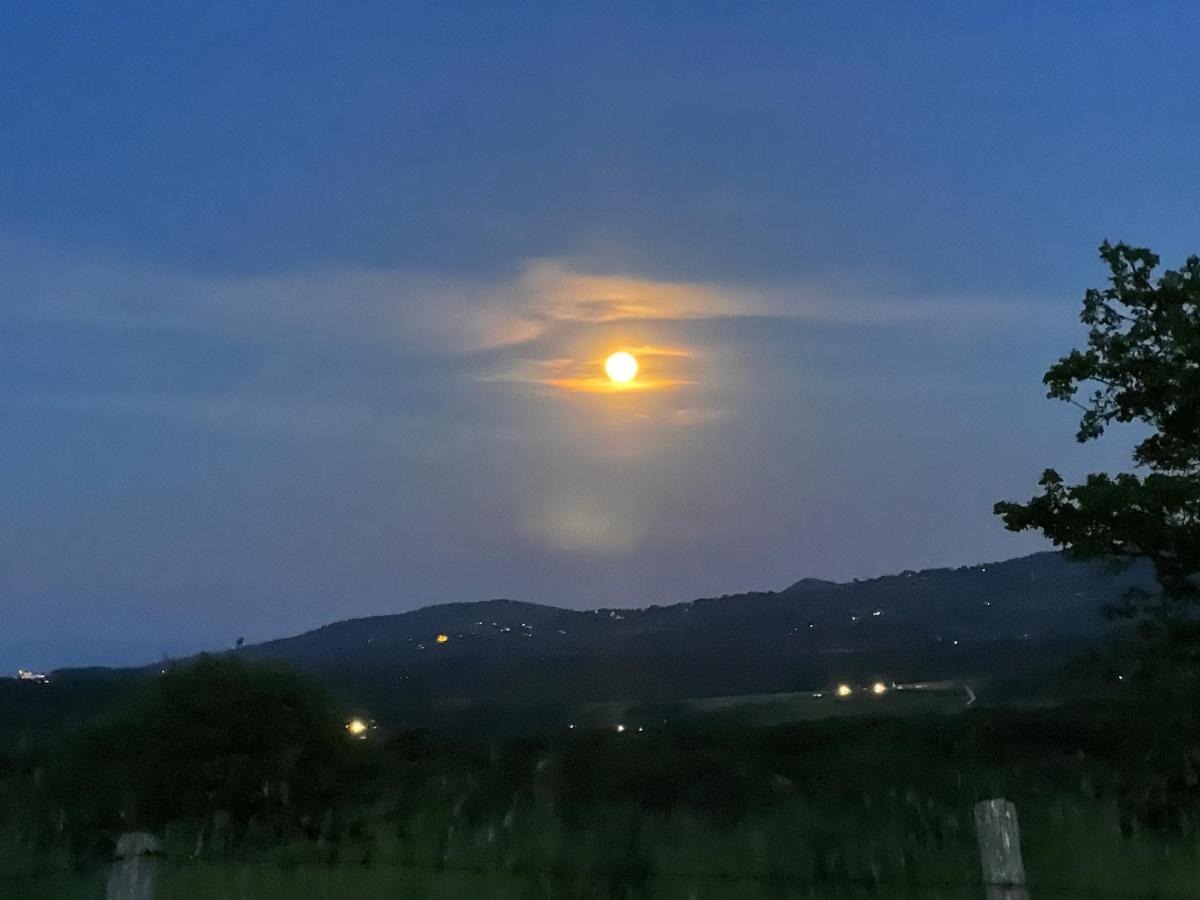 B&B Il Tramonto Barbarano Romano Bagian luar foto