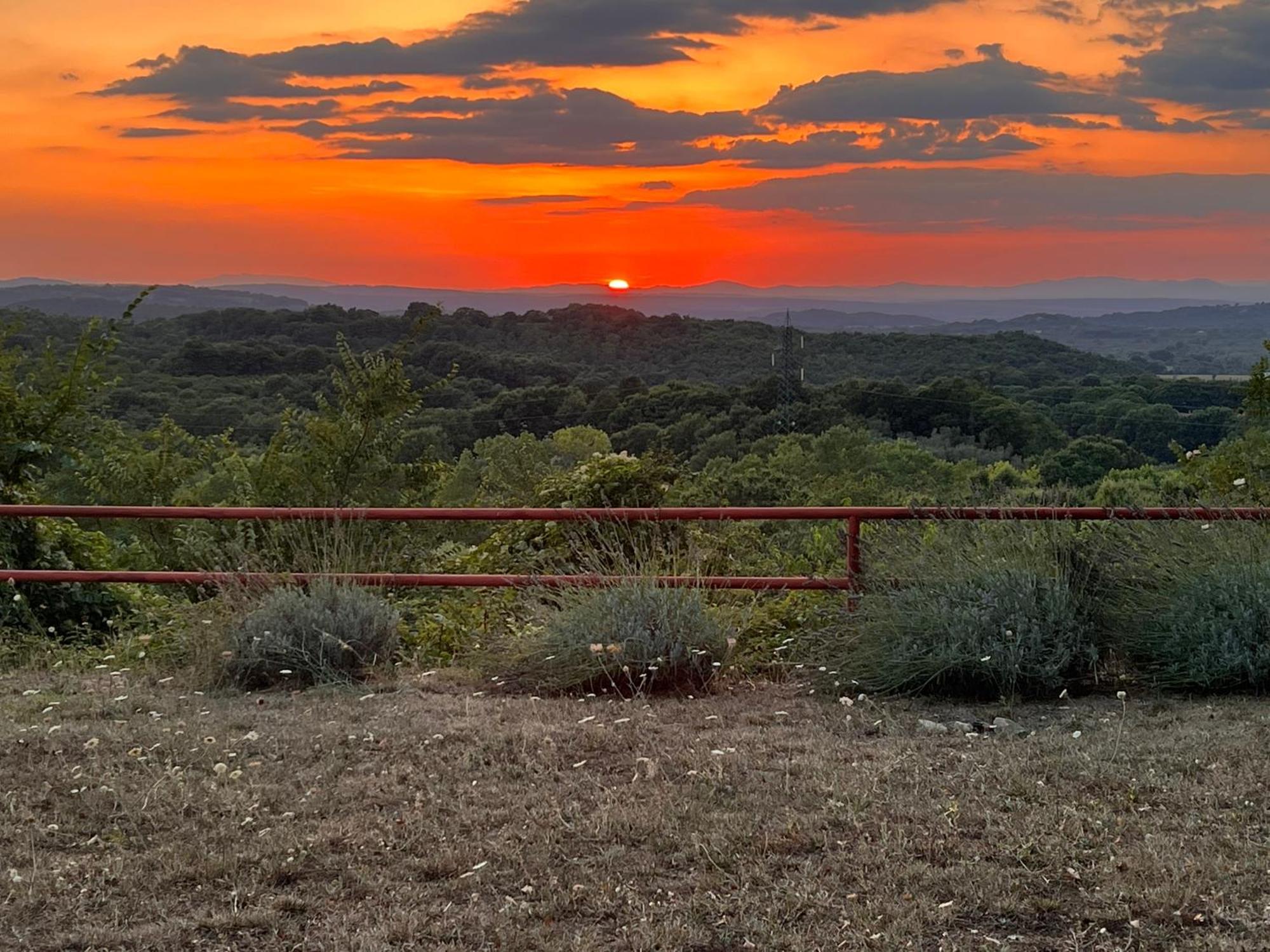 B&B Il Tramonto Barbarano Romano Bagian luar foto